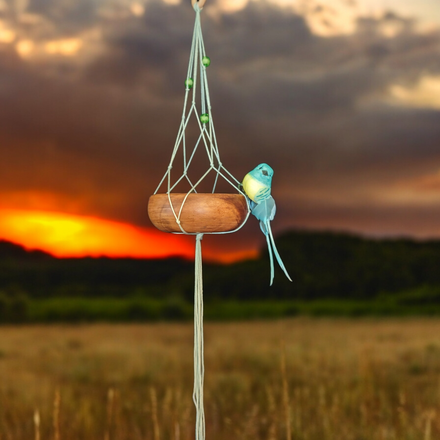 Bird on a macrame Teal